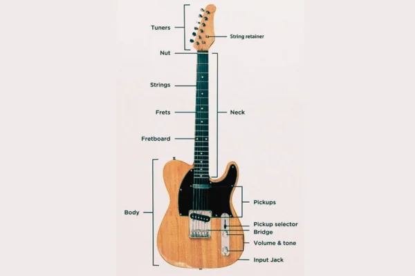 Basic electric guitar anatomy