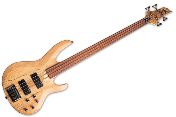 ESP LTD B-204 Fretless Bass