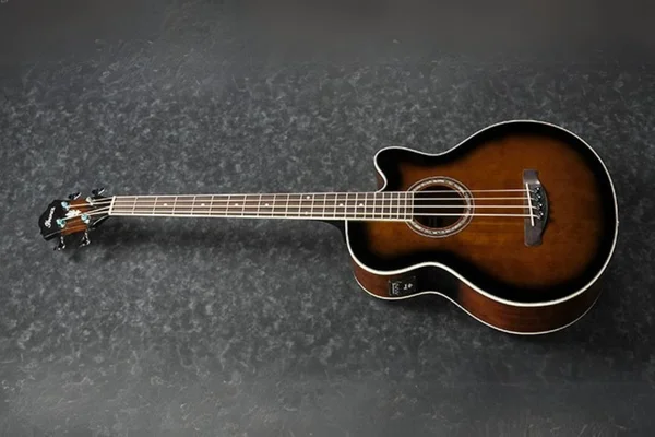 Ibanez AEB10E