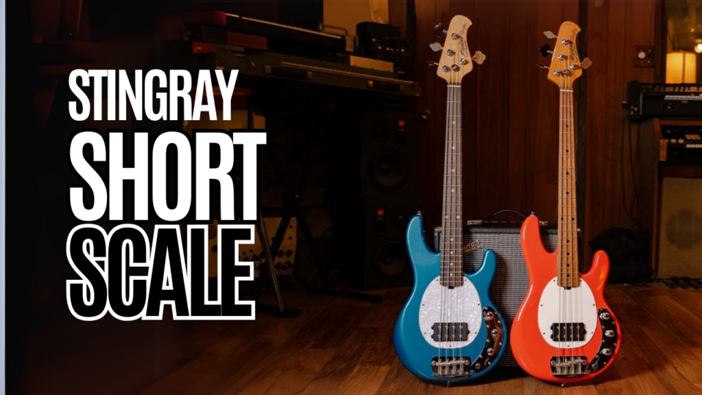 StingRay Short Scale Bass by Sterling