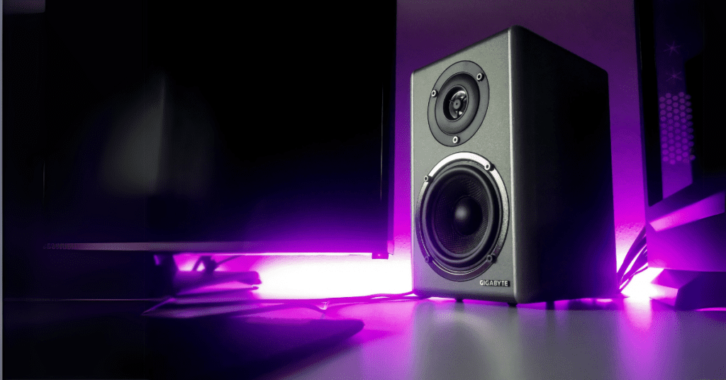 Best Speakers for DJing